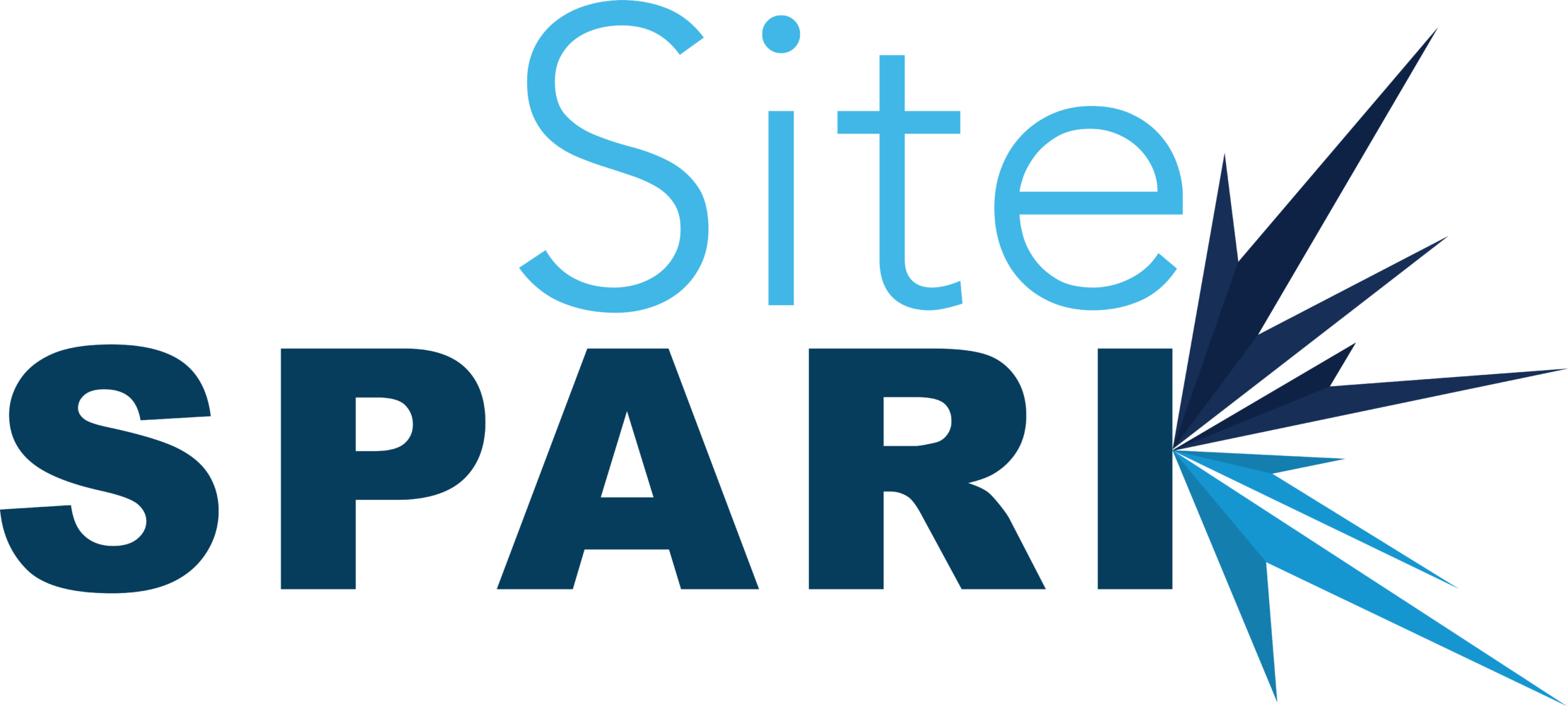 SIte Spark Logo_large Logo of Excellence in Patient Centricity Award