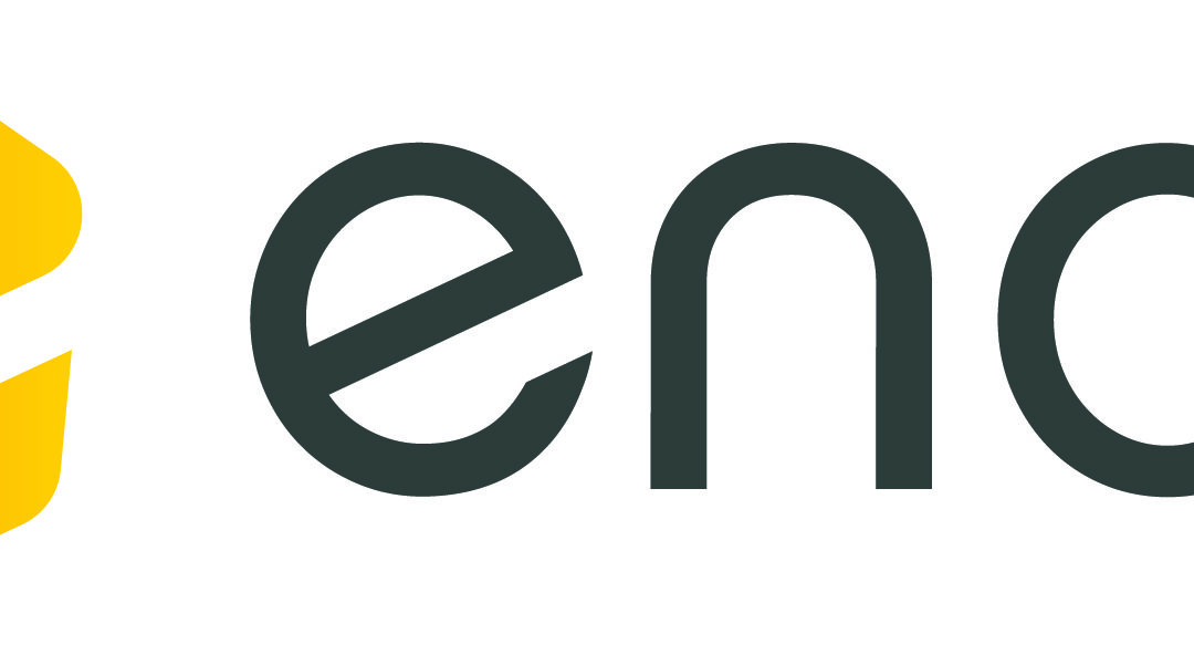 Endo Logo