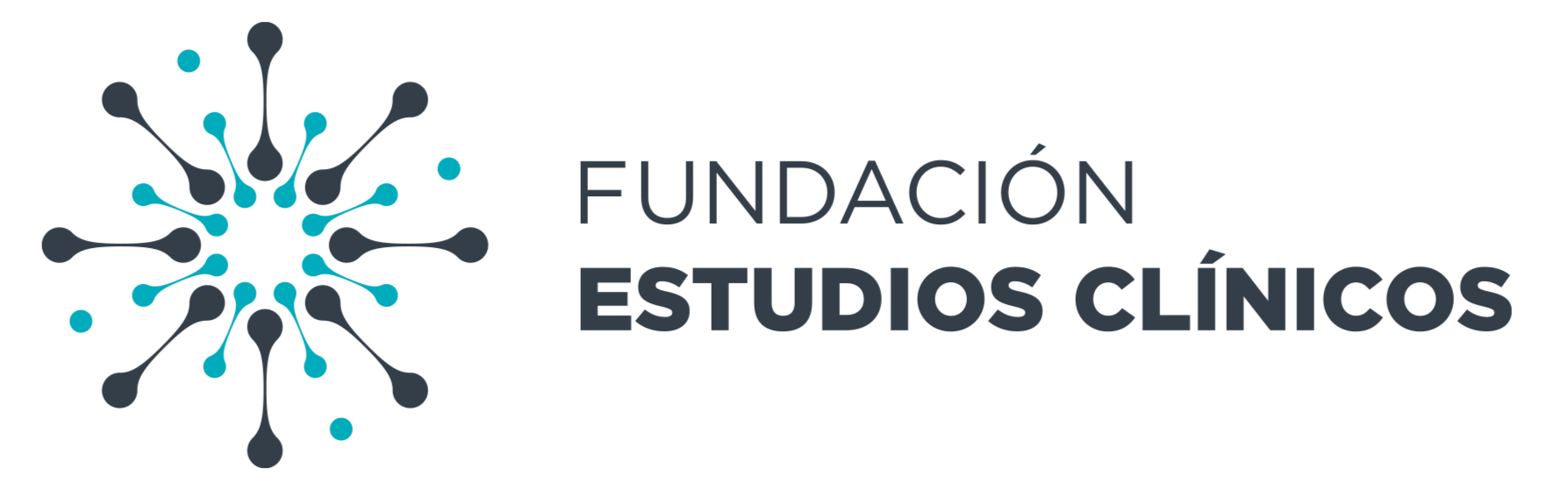 Fundacion Estudios