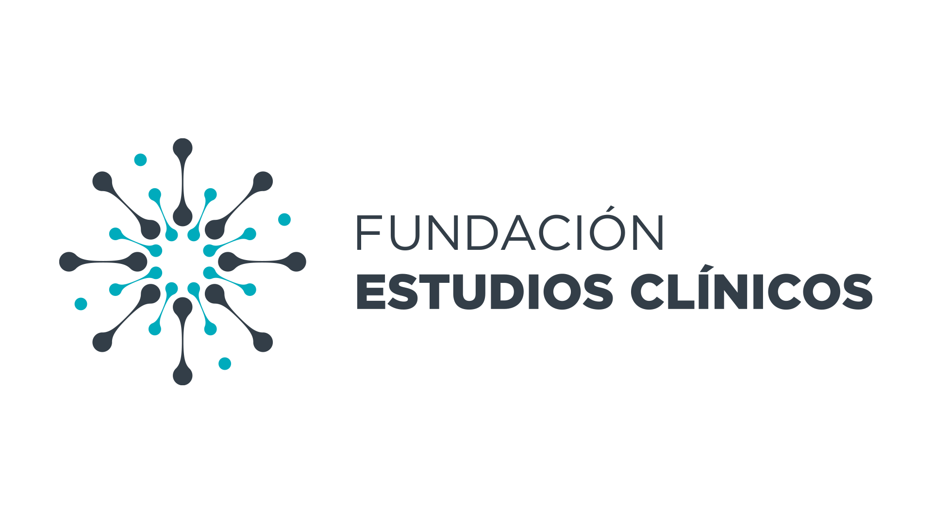 Fundacion Estudios